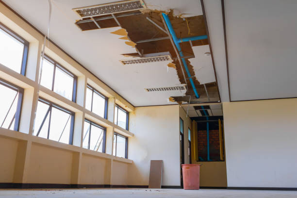 Best Water damage mitigation services  in San Rafael, CA