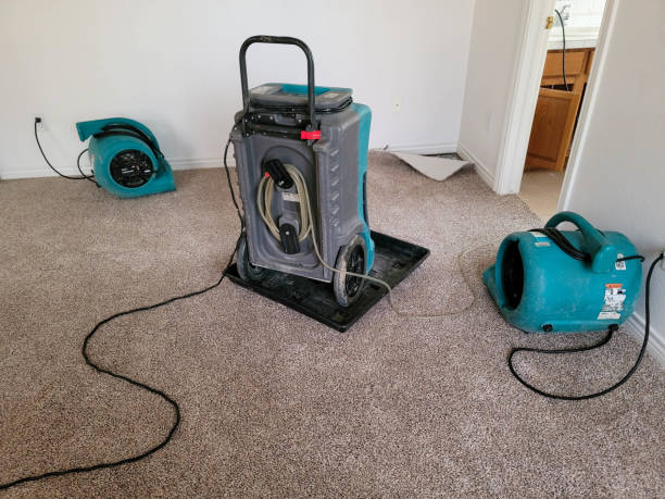Professional Water damage restoration in San Rafael, CA
