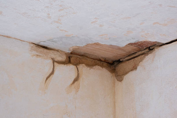 Best Basement water damage restoration  in San Rafael, CA