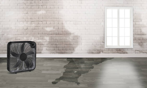 Local water damage restoration in San Rafael, CA