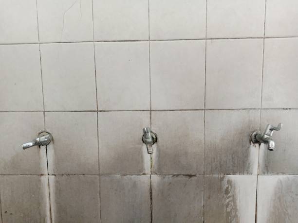 Best Water damage restoration near me  in San Rafael, CA