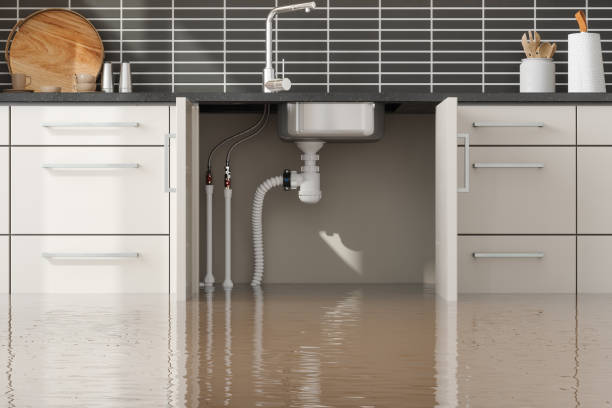 Best Mold removal after water damage  in San Rafael, CA