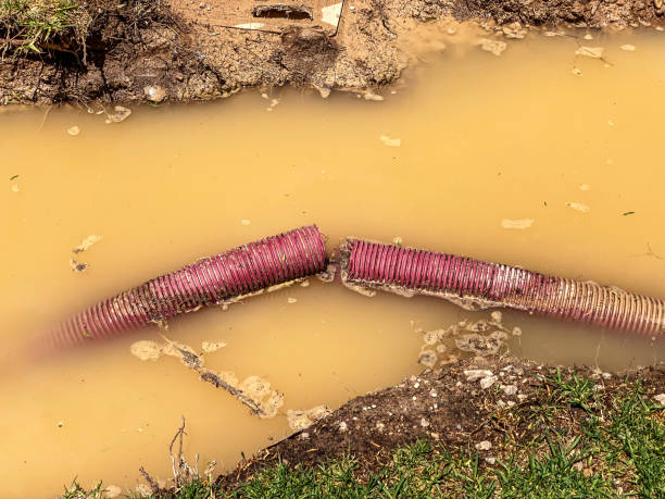 Best Flood damage cleanup  in San Rafael, CA