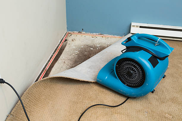 Best Flood restoration services  in San Rafael, CA